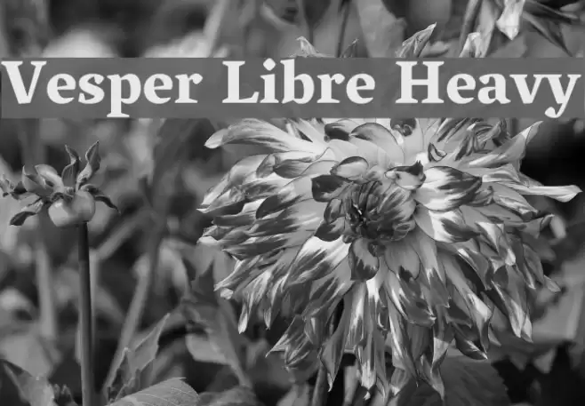 Vesper Libre Heavy examples