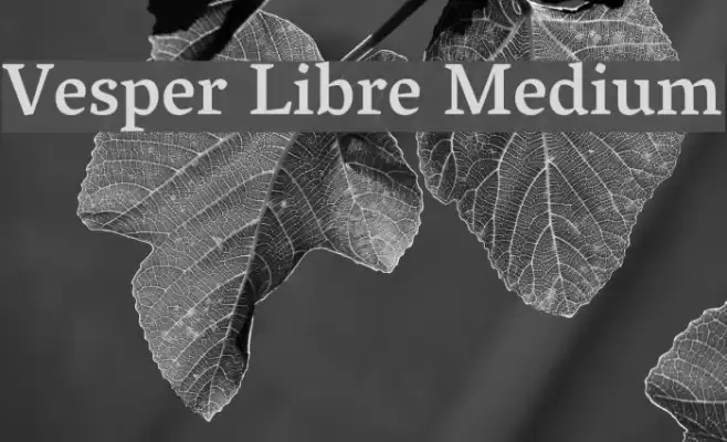 Vesper Libre Medium Font examples