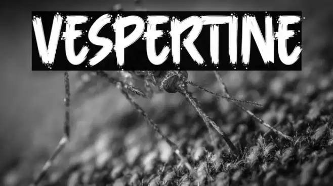 Vespertine Font examples