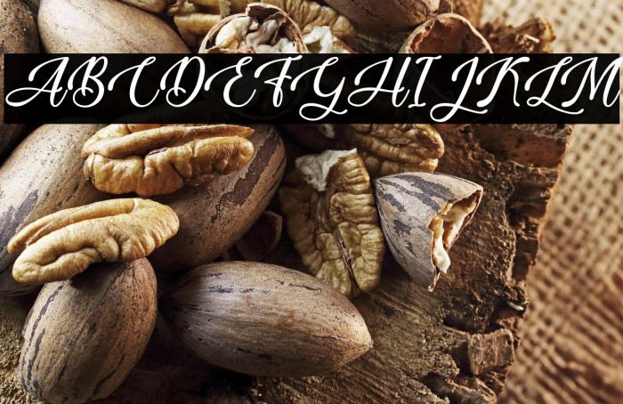 Vesta Night - Personal Use Example 3