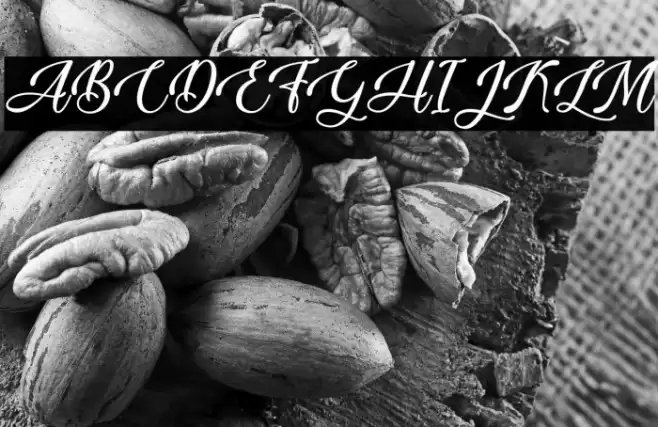 Vesta Night - Personal Use Font examples