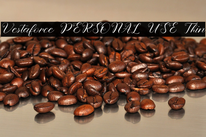 Vestaforce PERSONAL USE Thin Example 2