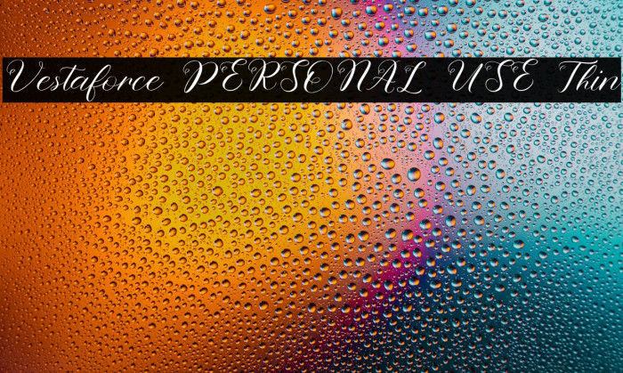Vestaforce PERSONAL USE Thin Example 3