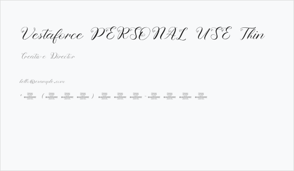 Vestaforce PERSONAL USE Thin Business Card