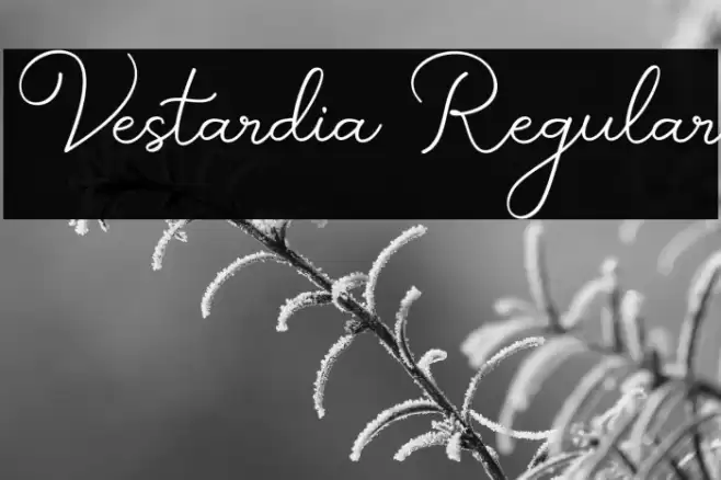 Vestardia Regular Font examples