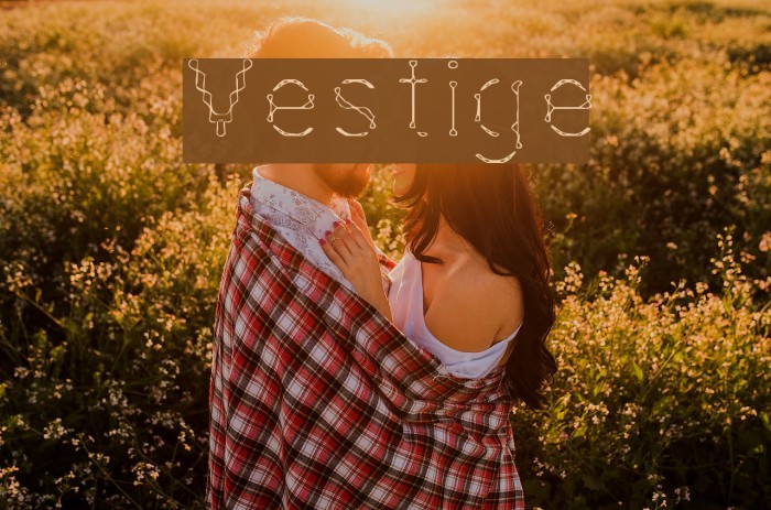 Vestige Font examples