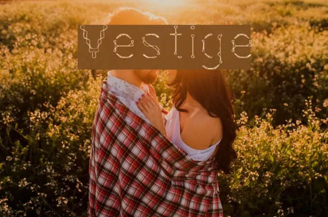 Vestige Example 2