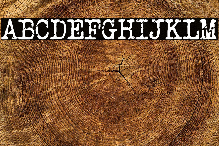 Veteran Typewriter Example 1