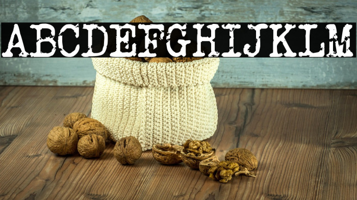 Veteran Typewriter Example 2