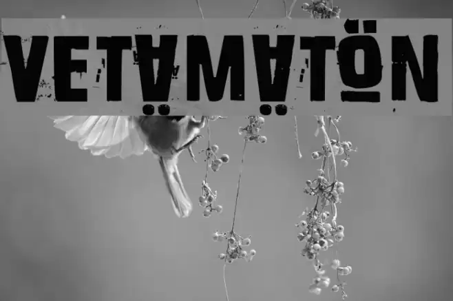 Vetämätön Font examples