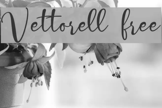 Vettorell free Font examples