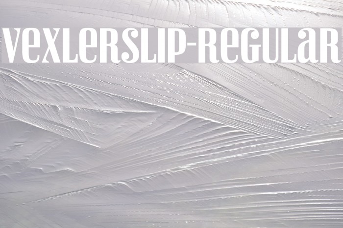 VexlerSlip-Regular Font examples