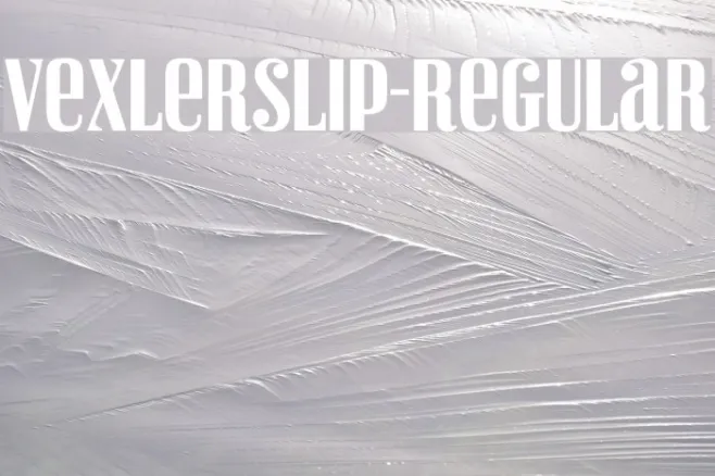VexlerSlip-Regular Example 1