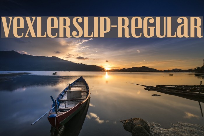 VexlerSlip-Regular Font examples