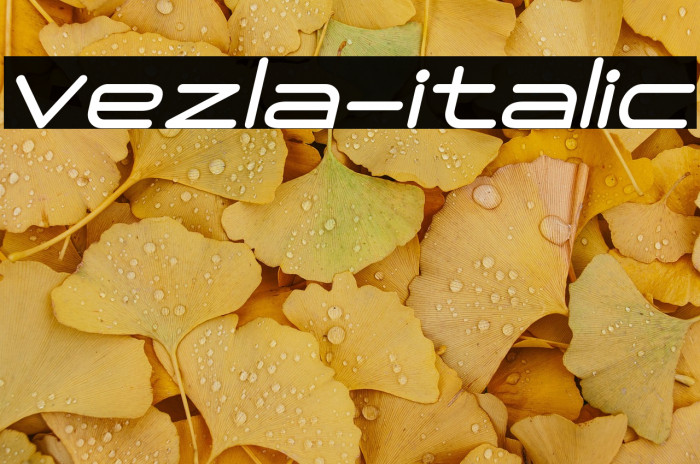 Vezla-italic Example 1