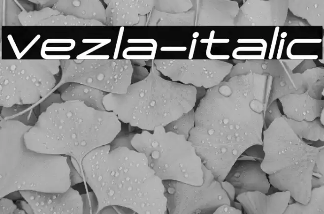 Vezla-italic Font examples