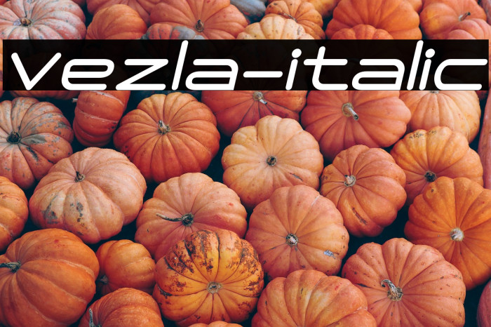 Vezla-italic Example 2