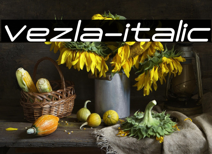 Vezla-italic Example 3