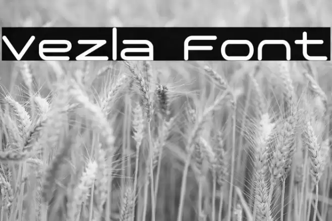 Vezla Font examples