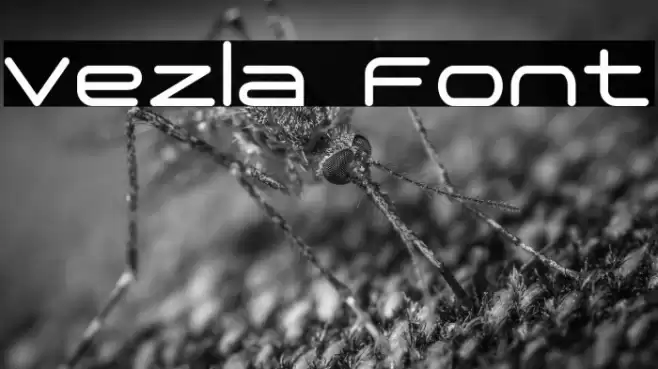 Vezla Font examples