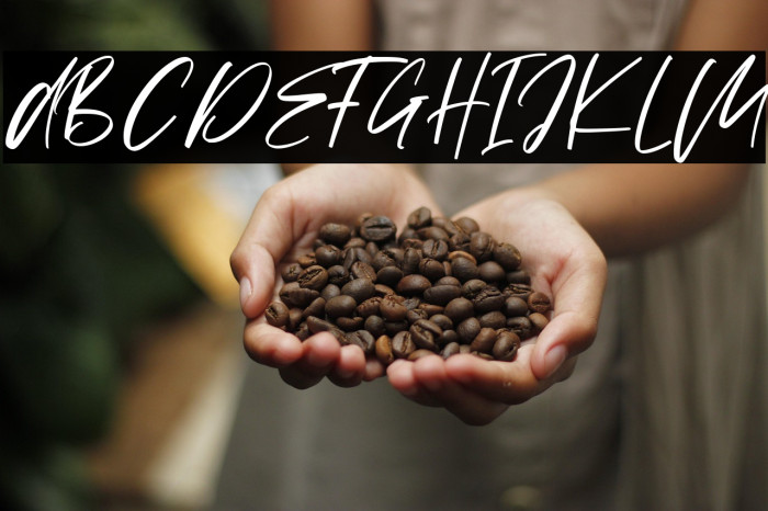 Vezthisory Example 1