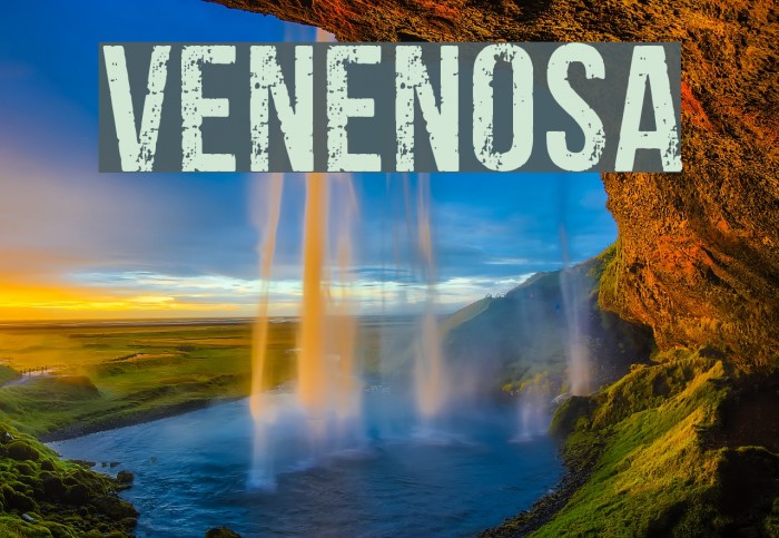 venenosa Font examples