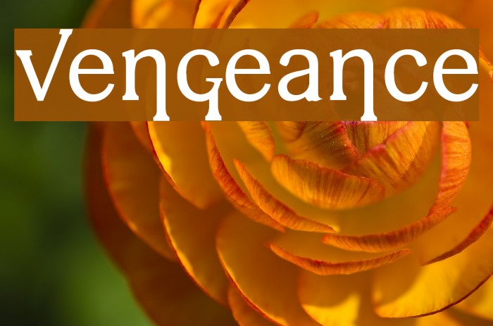 vengeance Font examples