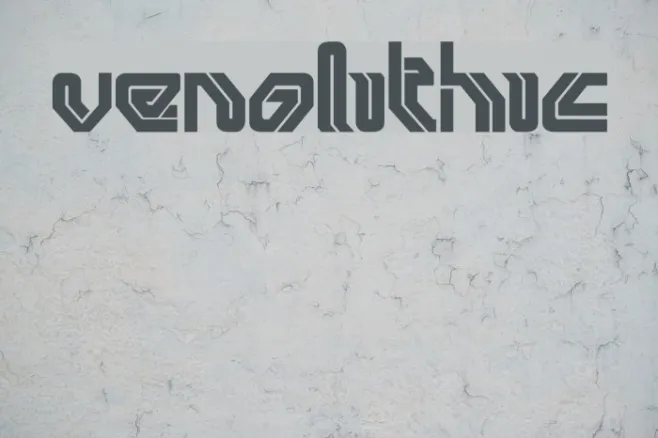 venolithic Example 1
