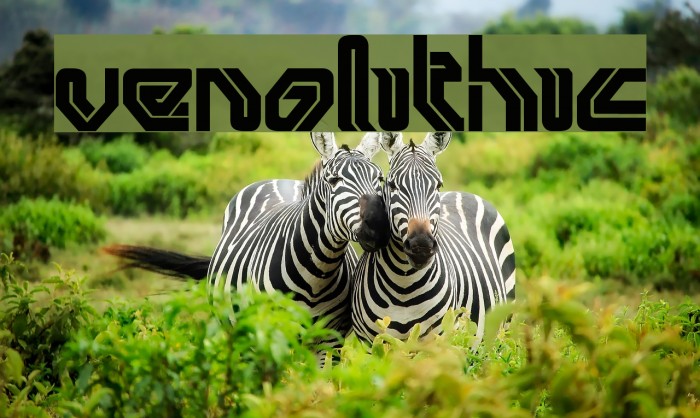 venolithic Font examples