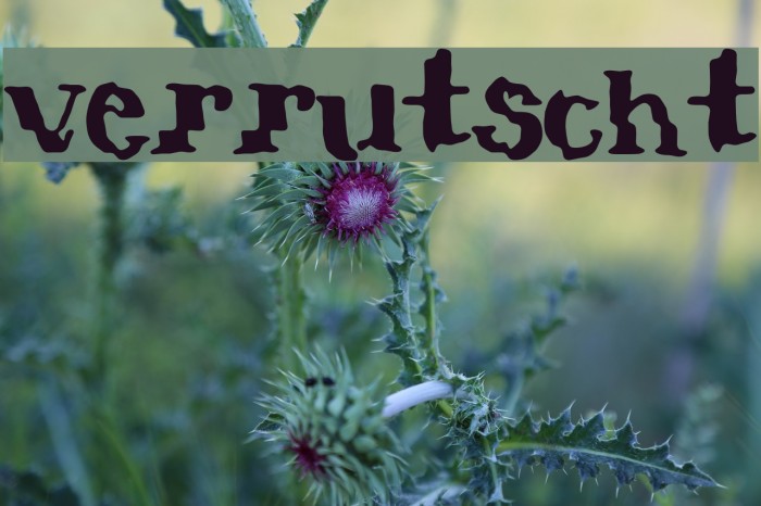 verrutscht Font examples