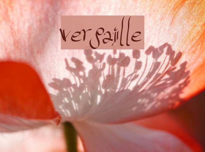 versaille Font examples