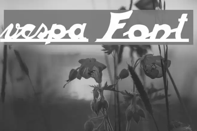 vespa Font examples
