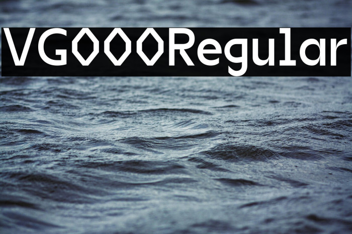 VG5000 Regular Example 1