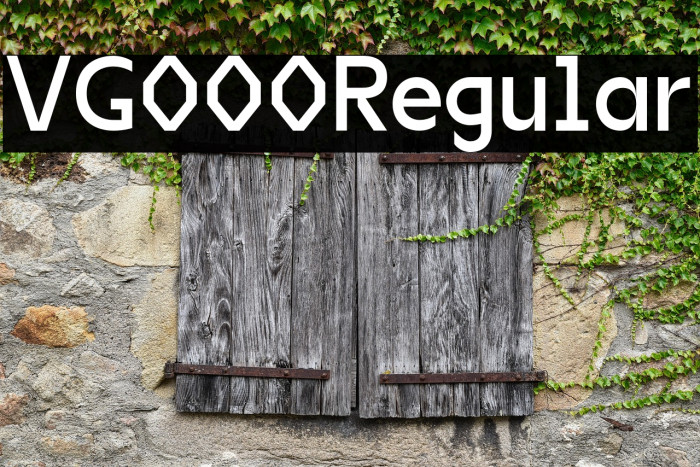 VG5000 Regular Example 2