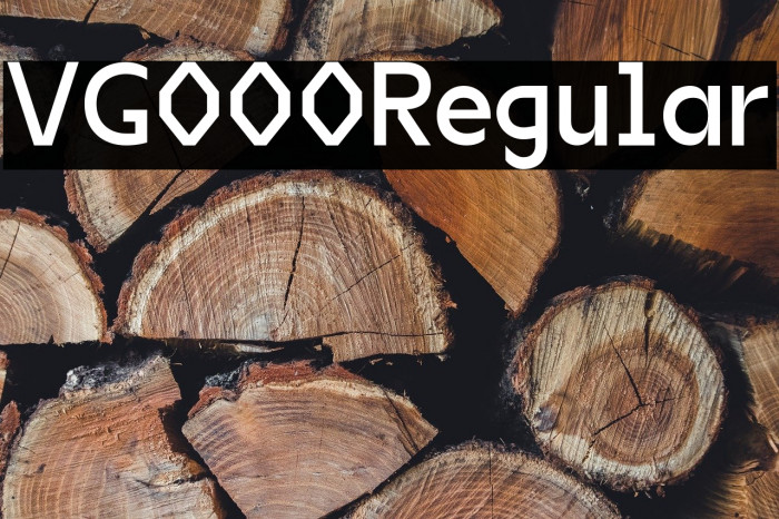 VG5000 Regular Example 3
