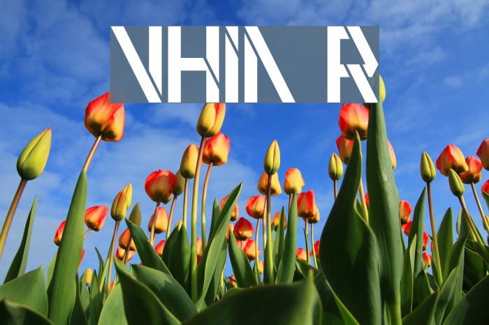 VHIA Regular Example 3