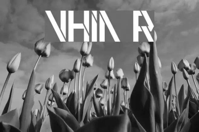 VHIA Regular Font examples