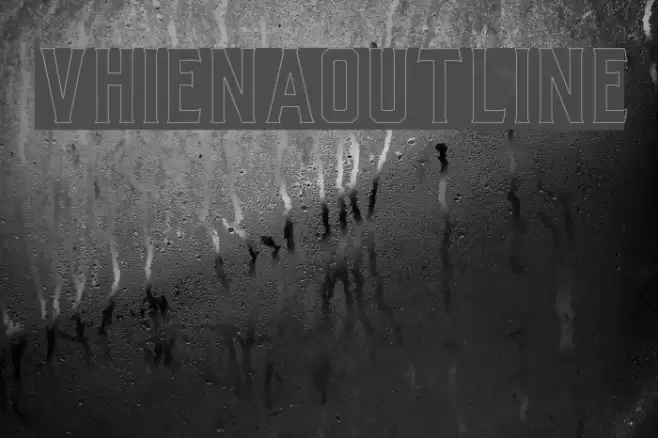 VhienaOutline Polices examples