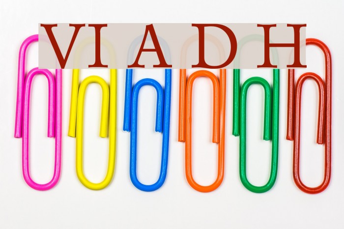 VI Anh Dao Hoa Font examples