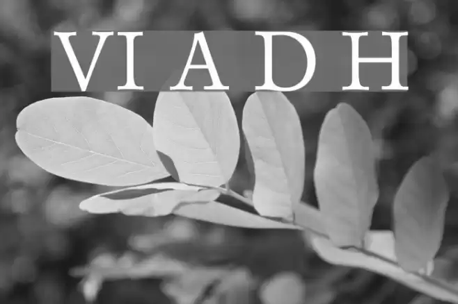 VI Anh Dao Hoa Schriftart examples