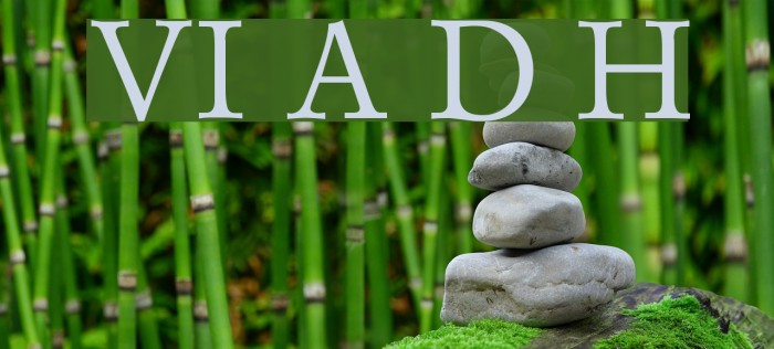 VI Anh Dao Hoa Font examples