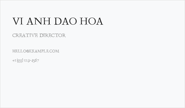 VI Anh Dao Hoa Business Card
