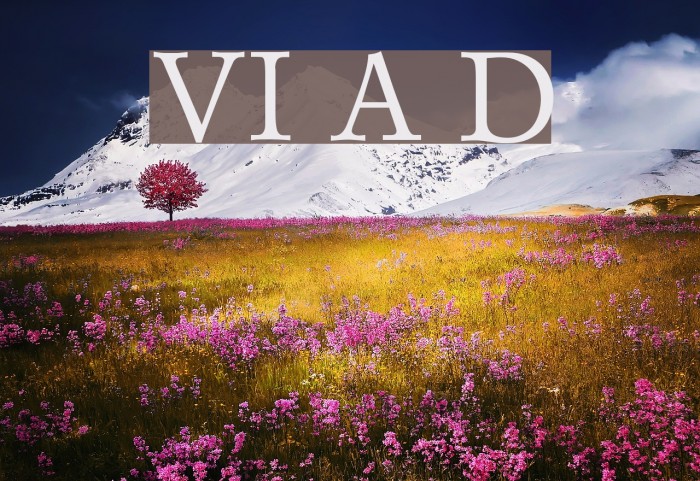 VI Anh Dao Font examples