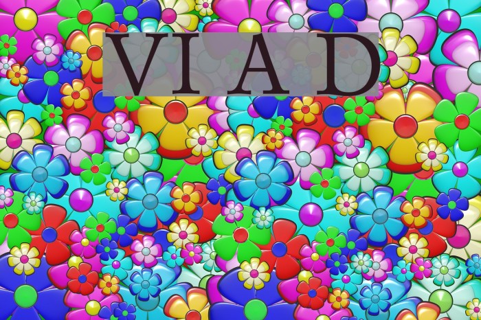 VI Anh Dao Font examples