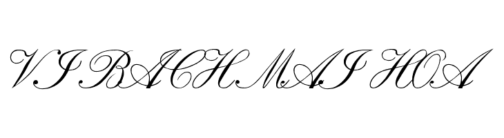 VI Bach Mai Hoa Font
