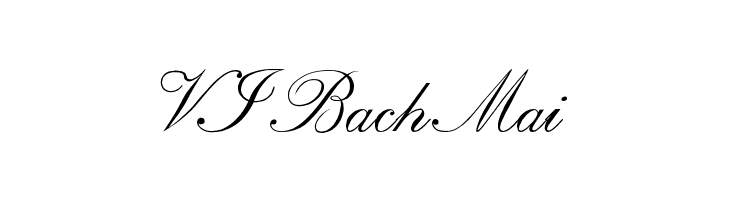 VI Bach Mai Font