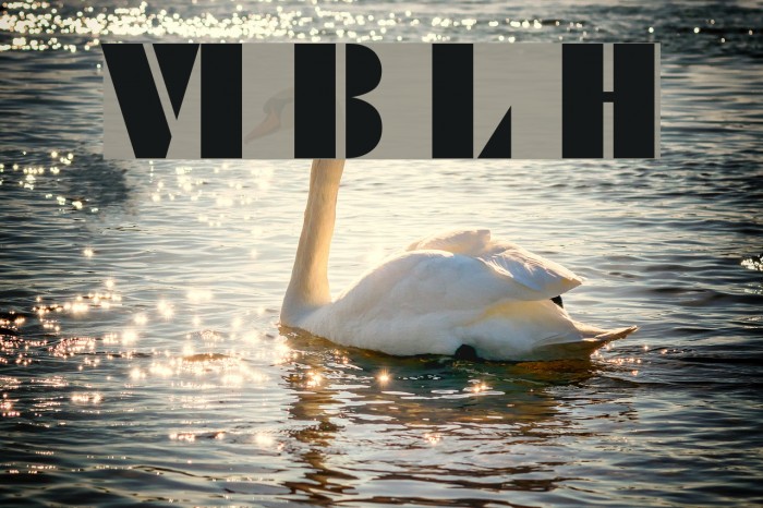 VI Bang Lang Hoa Шрифта examples