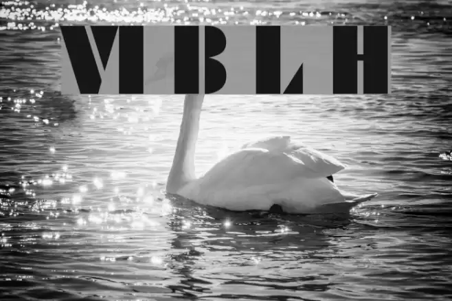 VI Bang Lang Hoa Font examples