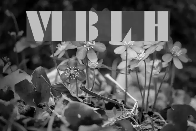 VI Bang Lang Hoa Font examples