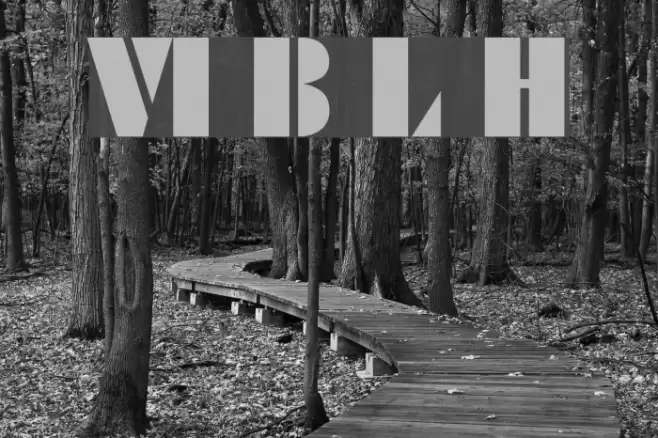 VI Bang Lang Hoa Font examples